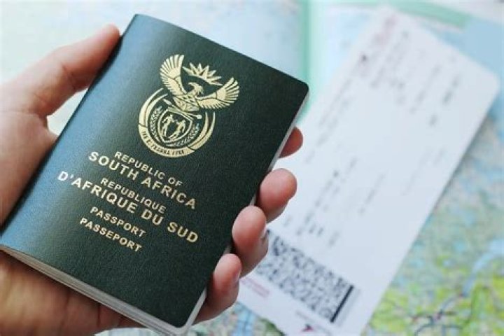 What NBA players are from South Africa?