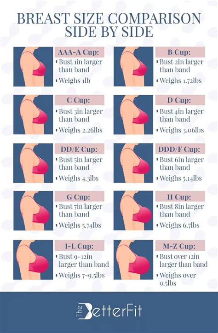 What size boobs celebrities have?