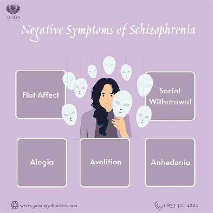 What theory best describes schizophrenia?