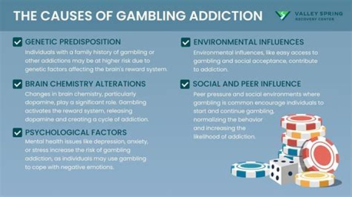 What treatments are available for those with problem gambling?