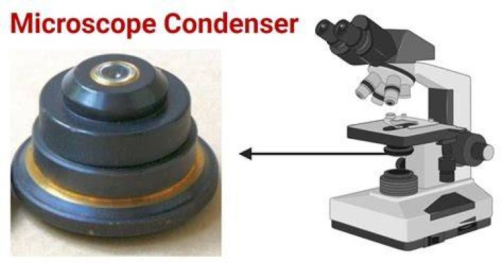 What type of condenser is used in the light microscopes?