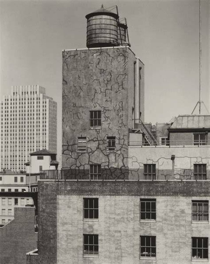 What was Alfred Stieglitz subject matter?