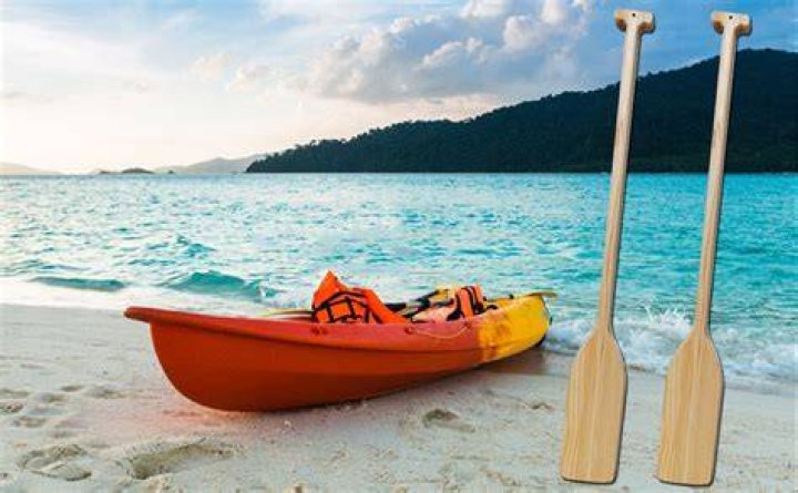 What wood should I use to make a canoe paddle?