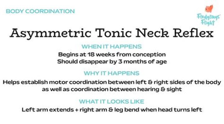 When does symmetrical tonic neck reflex disappear?