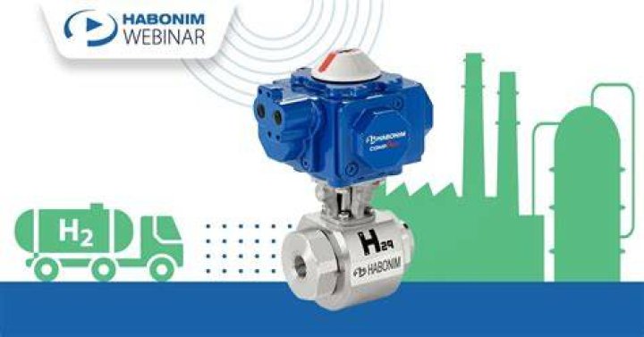 Where are Habonim valves manufactured?