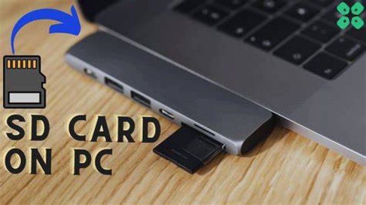 Where do I put my music on my SD card Android?