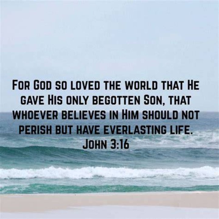 Where in the Bible does it say God so loved the world he gave his only begotten Son?