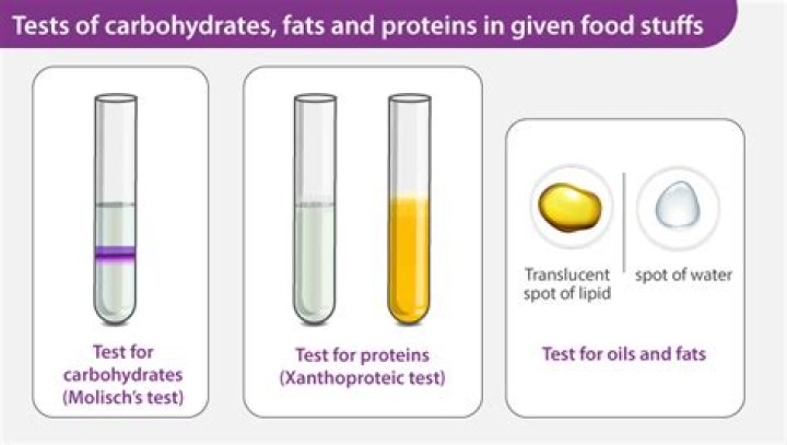 Which chemical is used to test for carbohydrates?
