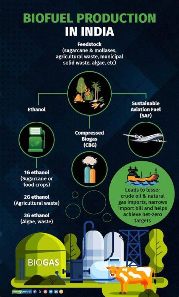 Which company produces biofuel in India?