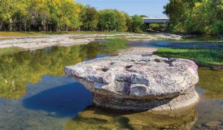 Which county is Round Rock in?