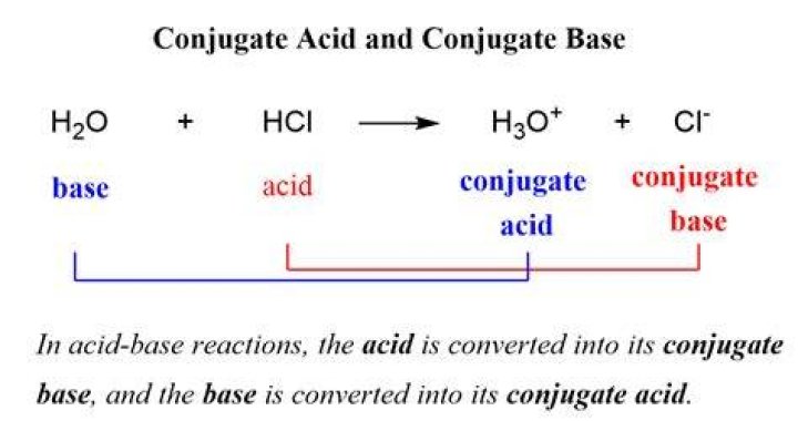 Which is the conjugate base?
