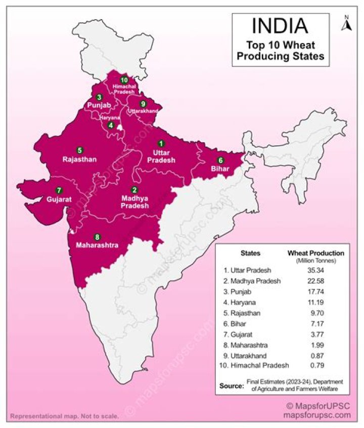 Which state has highest production of wheat in India?