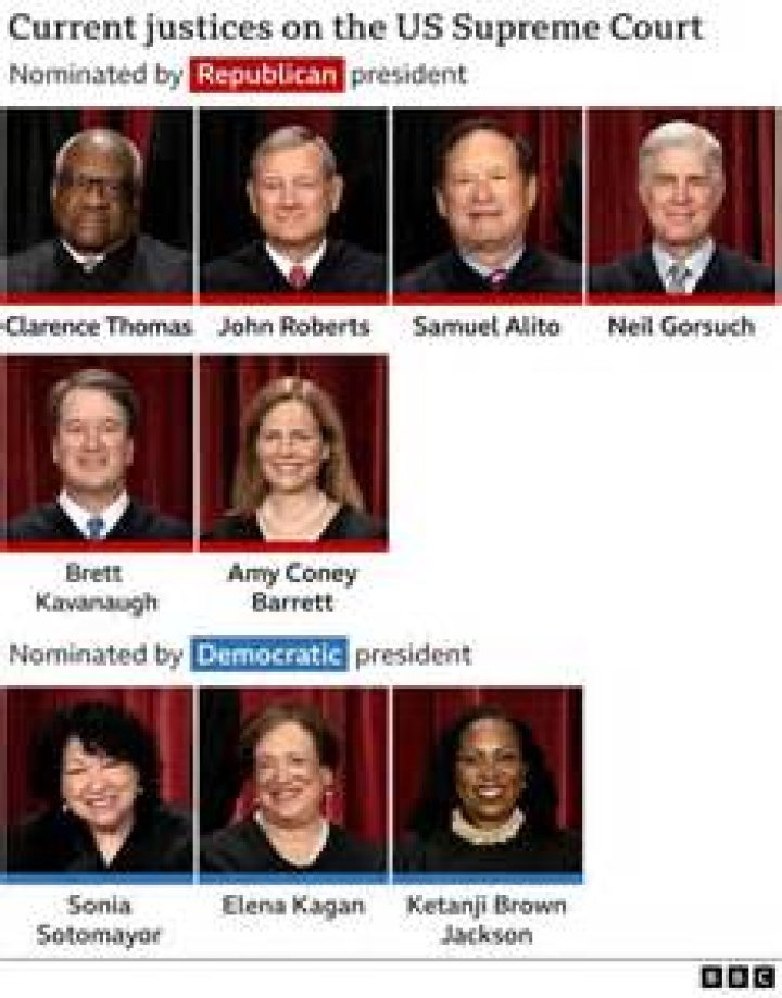 Which Supreme Court case dealt with the idea of freedom of speech?