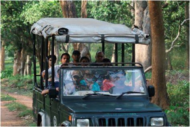 Which time is best for safari in Bandipur?
