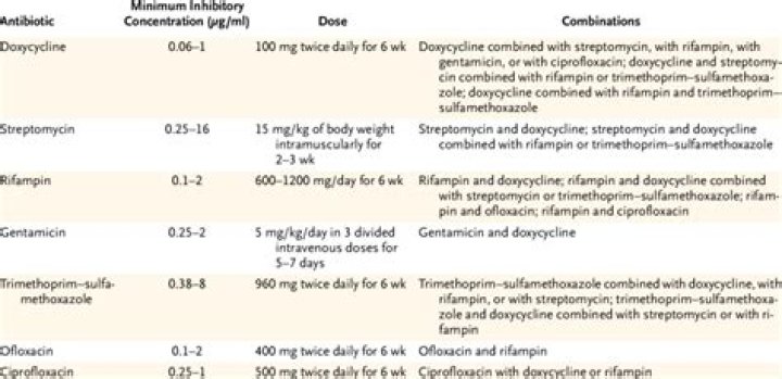 Who brucellosis treatment guidelines?