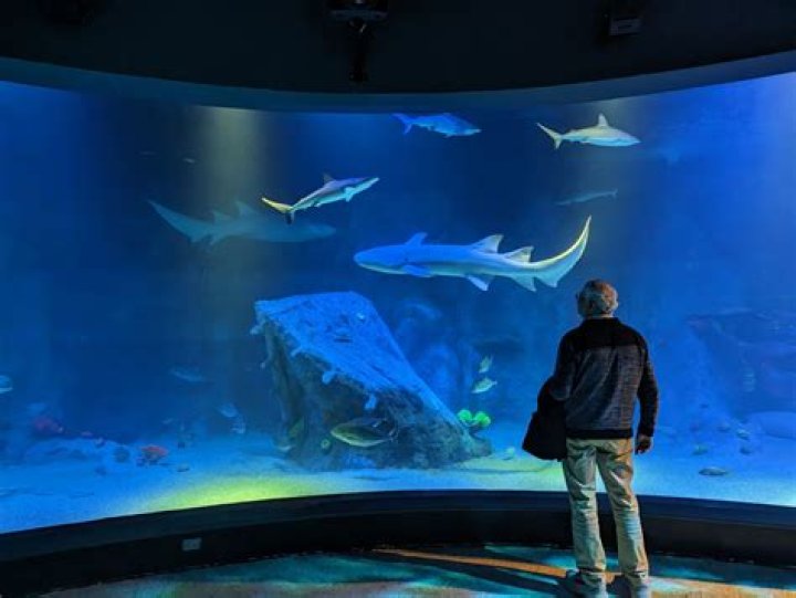 Who built Melbourne Aquarium?