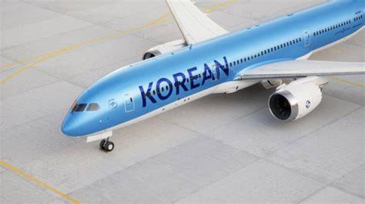 Who does Korean Air partner with?