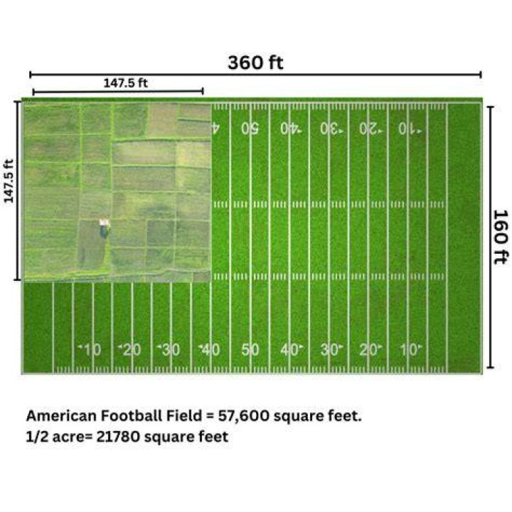 Why do they put sand on football fields?