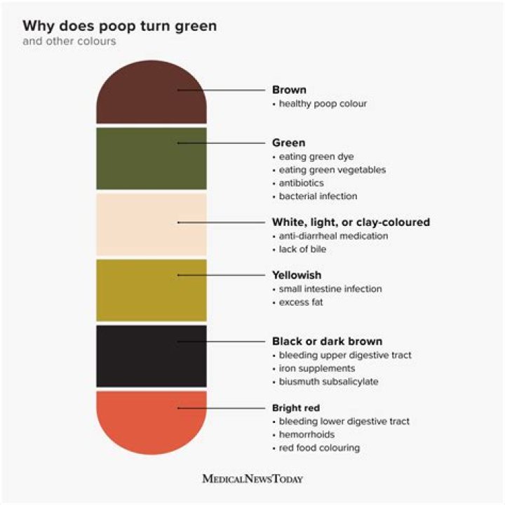 Why is my poop extremely green?