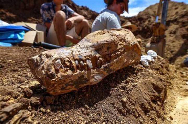 Why is the Olduvai Gorge important to archaeologists?