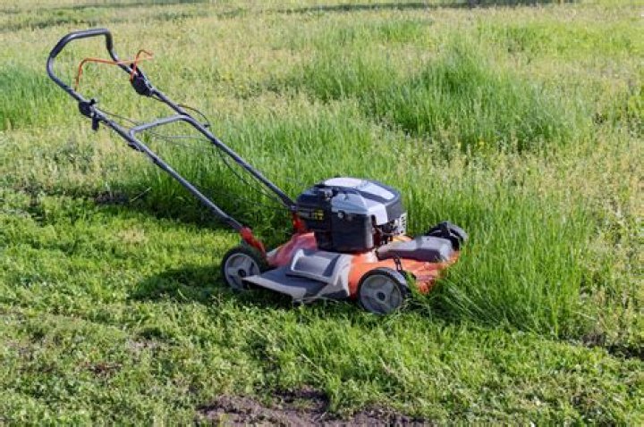 Will a reel mower cut tall weeds?