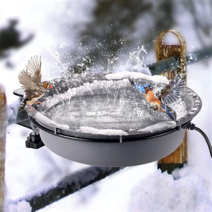 Will birds use a birdbath in the winter?